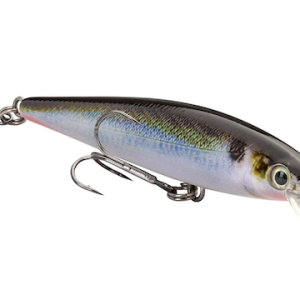Strike King KVD Jerkbait 100