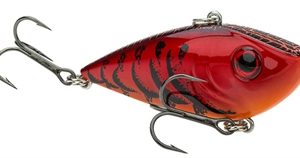 Strike King Red Eyed Shad 1/2oz Crankbait