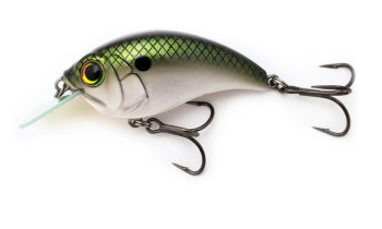 Bill Lewis SB-57 MDJ Square Bill