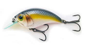 Bill Lewis SB-57 MDJ Square Bill - Image 5